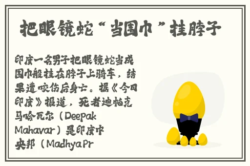 幼儿hiphop张碗营暑假作业
