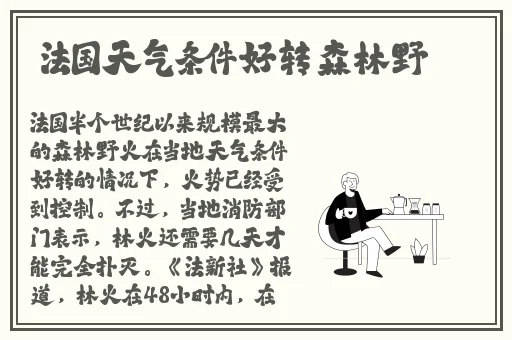 6080手机版在线观看